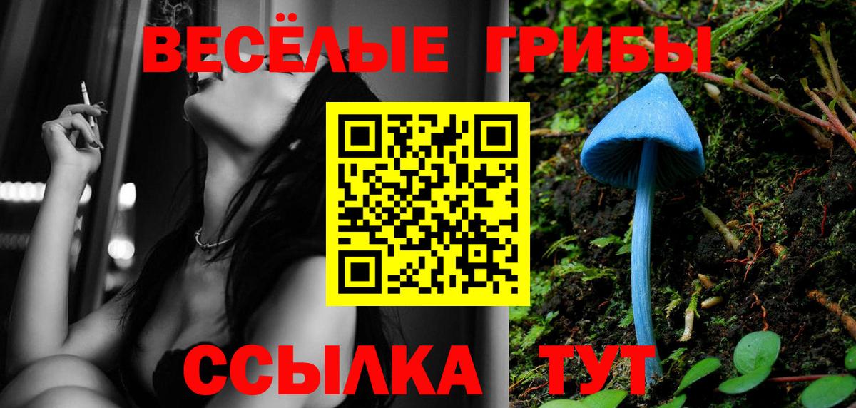 Псилоцибиновые грибы GOLDEN TEACHER  Вход с VPN  Воскресенск 